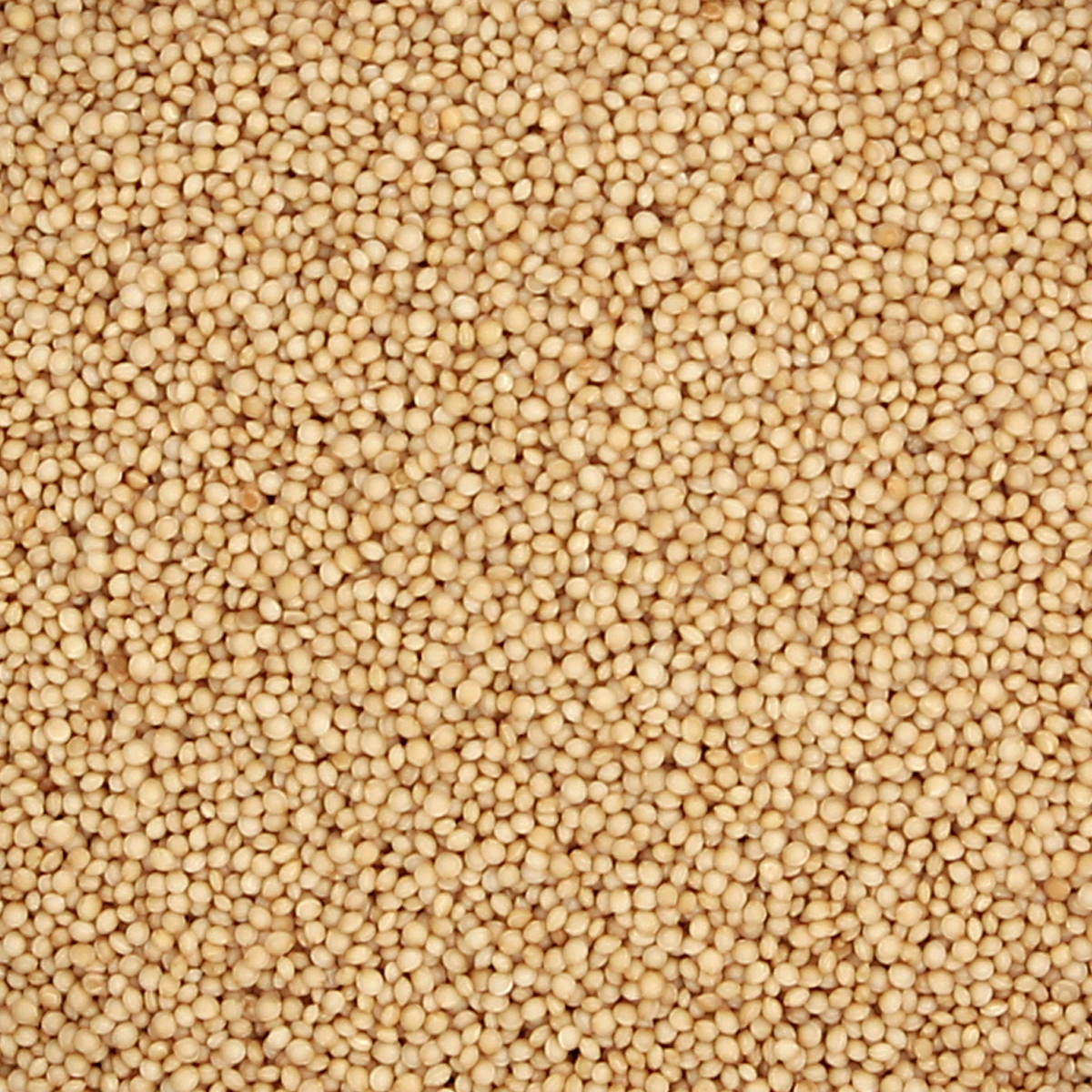 AMARANTO 250g. - Imagen 3