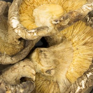 HONGOS SECOS SHITAKE EN TROZOS 100g - Imagen 3